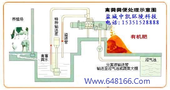 葫芦娃污视频示意圖